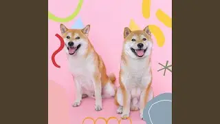 Sensational Jazz Trombone - Vibe for Resting Dog Moments