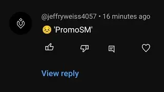 PROMOSM COMMENTS?! ON YOUTUBE