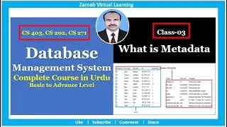 003| What Is Metadata In Database| Types Of Metadata | Metadata With Example In Urdu Hindi | Class03