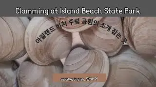 Clamming at Island Beach State Park / 아일래드 비치 주립공원의 조개 잡는 곳 - 뉴져지 비치 -  미동부 여행 - 미국 여행 팁