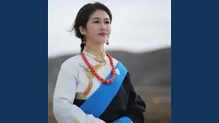 向着太阳