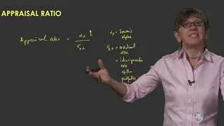Appraisal ratio and information ratio - Investment Strategies and Portfolio Analysis