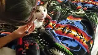 How we give Squish (our cat) liquid meds with a syringe