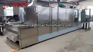 Large Cashew Nut Roasting Drying Machine|Chestnut Palm Roaster|Vegetable Fruit Baking Equipment