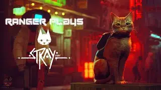 Stray Slums Energy Drink location