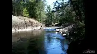 Upper Peninsula Escanaba River Gwinn Michigan 49841