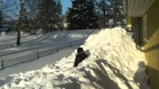 Vinter 2010