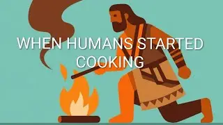WHEN HUMAN STARTED COOKING