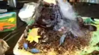 Kyen's Birthday Volcano Cake