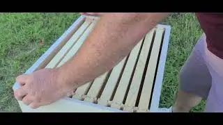 6th Week Hive Inspection