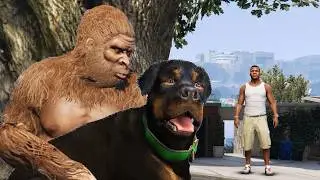 GTA V - Franklin Saves Bigfoot But...