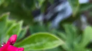 Deepa Bisht is live!आप सभी लोगों का स्वागत है आइये एक दूसरे को सपोर्ट कर आगे बढ़े