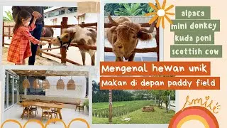 REKOMENDASI TEMPAT MAIN ANAK | REVIEW TEMPAT REKREASI ANAK