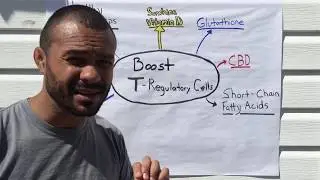 Immune Strength (Part 3: 8 Ways to Boost T-Reg Cell Function)