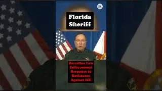 Florida Sheriff Describes Law Enforcement Response to Resistance Against ICE