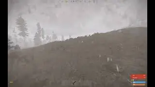 1v1ing a bear in Rust