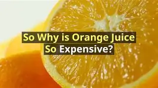 So Why is Orange Juice so Expensive?