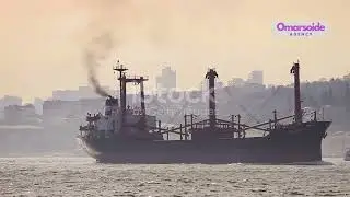 Environmental Emergency | Sea Snot Smothers Istanbul&rsquo;s Marine Life