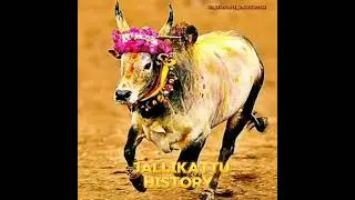 jallikattu history #travel #tamil #maduraitamil #history