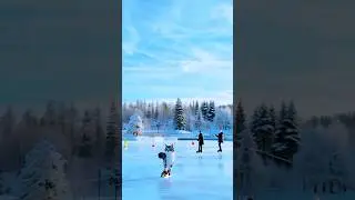 Cat enjoys skating in the snow