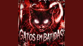 GATOS EM BATIDAS (SLOWED)