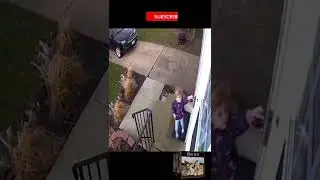 No kidding! she didn't even drop the phone on her other hand! | Cool Pets
