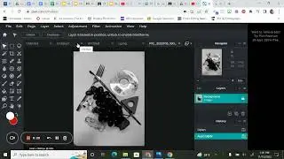 PIXLR E: Rayographs