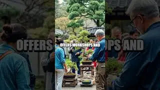 The Ancient Art of Bonsai in Shunkaen, Japan
