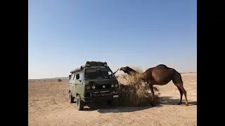 T3IPSTER N°9 Iran / VW T3 Syncro / Overlanding / Weltreise / Expedition / Offroad