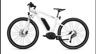 2016 BMW Cruise e-Bike