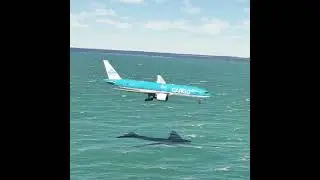 The plane experienced engine failure while landing EP279