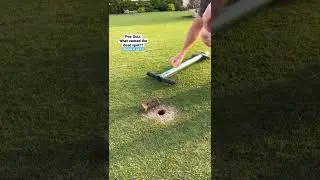 Oddly satisfying ProPlugger action