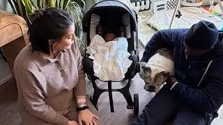 Kick it with Us EP41 | Newborn | First Time Parents | Labor Induction | NYE | Family | Bullylove 🐾