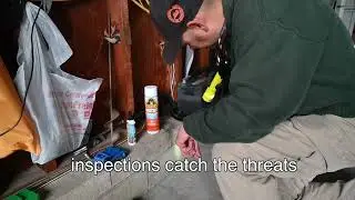 Commercial Pre-Construction Wood Destroying Insect Inspections -  CBD Pest Control