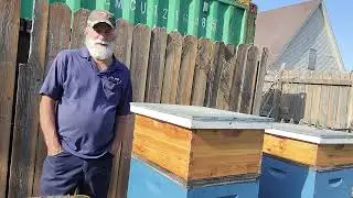 Beginner Beekeeper October Feeding has Started