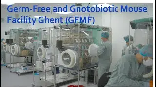 Germ-Free and Gnotobiotic Mouse Faility Ghent - Subt - Full