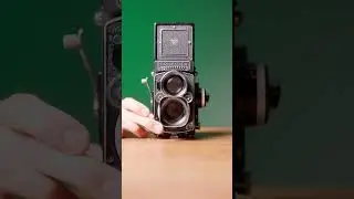 Which Camera Has the Best Shutter Sound? | ASMR Showdown 🎧📸