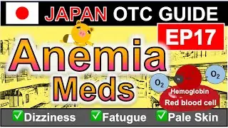 How to Treat Anemia in Japan: Pharmacist&rsquo;s Guide | EP17