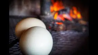 BAD BONES BBQ Ostrich Egg Breakfast