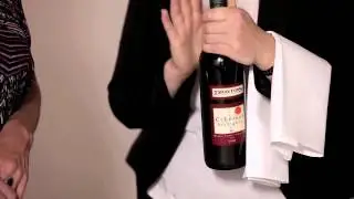 Coaching others in job skills   Wine Opening Session