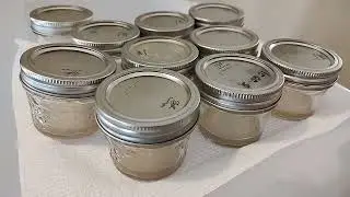 How to Clone Transfer Grow Mushroom Still Air Box No Pour Jars Petri Dish Rhizomorphic Mycelium Chat