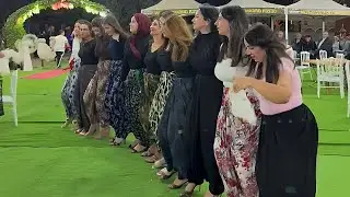  Group Kurdish Dance Performance with Live Music#wedding#dance#viralvideo 
