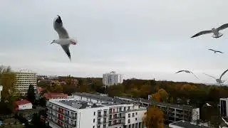 Kołobrzeg -Sanatorium San