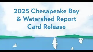 Chesapeake Bay and Watershed Report Card 2025 Release