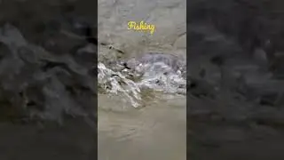Fishing in Florida || I Caught the Turtle || Joy&Tanni