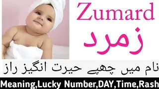 Zumard name meaning in urdu  | Zumard Muslim Islamic Girl Name | Zumard Naam Ka matlab kyi hai
