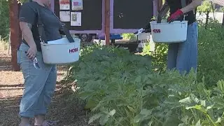 Seeds of Solidarity in West Sacramento plants food with purpose