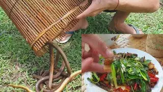 Catching eel - cooking spicy fried eel eating delicious🌶🌶🌶