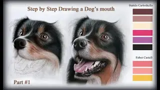 Drawing a Dog&rsquo;s mouth with Pastel pencils &ndash; Part1/3 | Kazemfineart