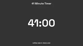 41 Minute Timer